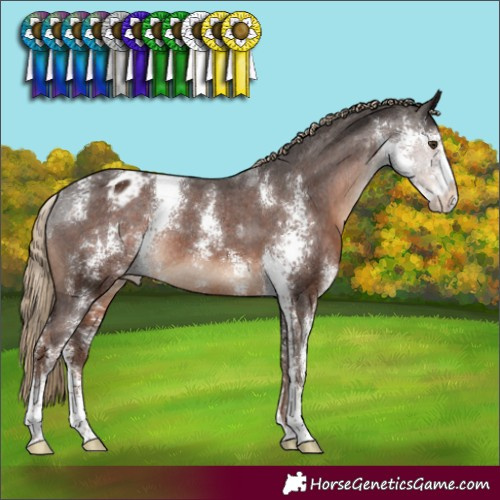 Horse Color:Liver Chestnut Sabino Varnish Rabicano 