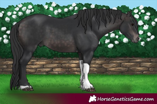 Horse Color:Platinum Brown Tobiano 
