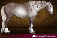Horse Color:Gray Chocolate Silver Black Rabicano 