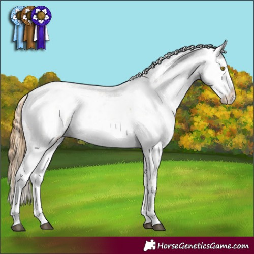 Horse Color:Chestnut Pearl Sabino 