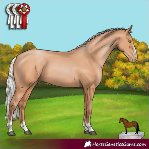 Horse Color:Silver Bay Pearl 