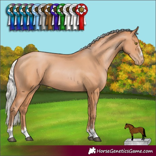 Horse Color:Silver Bay Pearl 