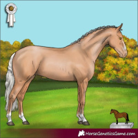 Horse Color:Silver Bay Pearl 