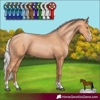 Horse Color:Silver Bay Pearl 
