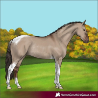 Horse Color:Liver Red Dun Tobiano Rabicano 