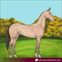 Horse Color:Amber Champagne Rabicano