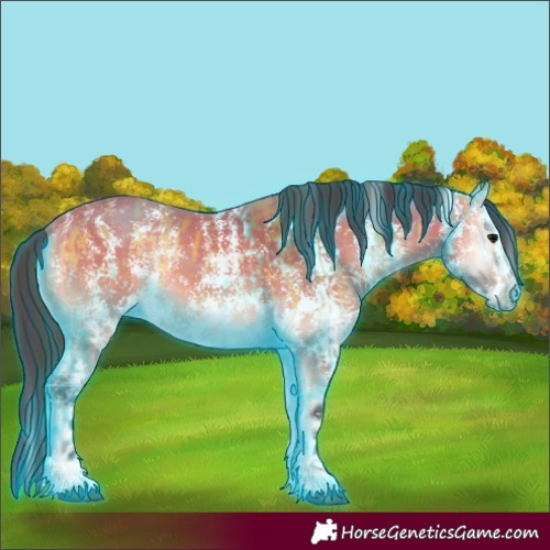 Horse Color:Void Thunderstruck Buckskin Onyx  and Buckskin Onyx Sabino 