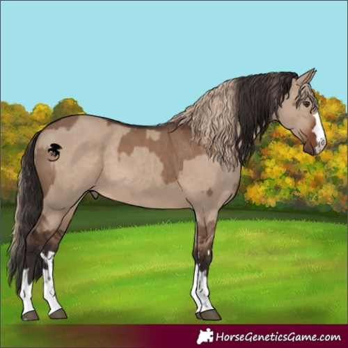 Horse Color:Liver Red Dun  and Liver Red Dun 