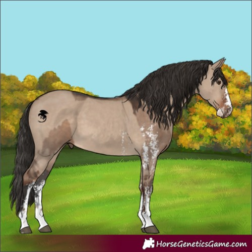Horse Color:Liver Red Dun Sabino  and Liver Red Dun Sabino 