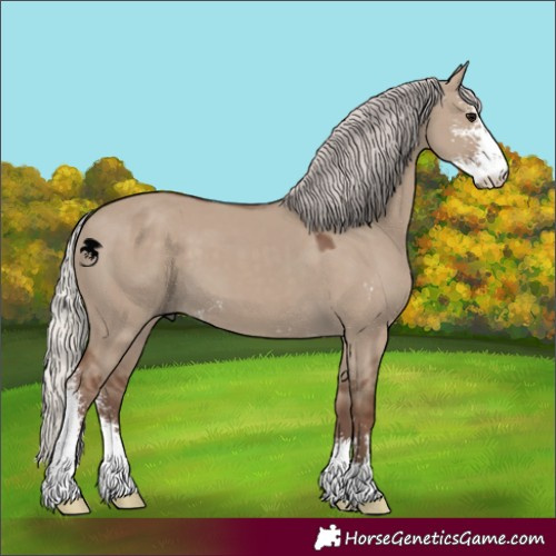 Horse Color:Silver Grullo Sabino 