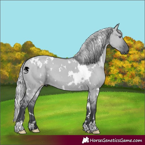 Horse Color:White Spotted Silver Grullo Chinchilla 