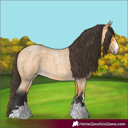 Horse Color:Buckskin Roan 