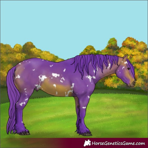 Horse Color:Watercolor White Spotted Bay 