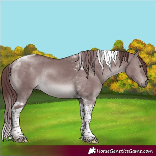 Horse Color:Platinum Chocolate Brown Dun Tobiano Rabicano 