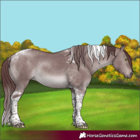 Horse Color:Platinum Chocolate Brown Dun Tobiano Rabicano