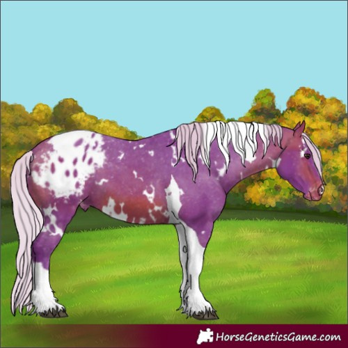 Horse Color:Watercolor White Spotted Silver Bay Tobiano Appaloosa