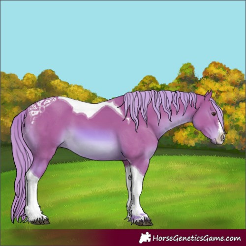 Horse Color:Watercolor White Spotted Chestnut Tobiano 
