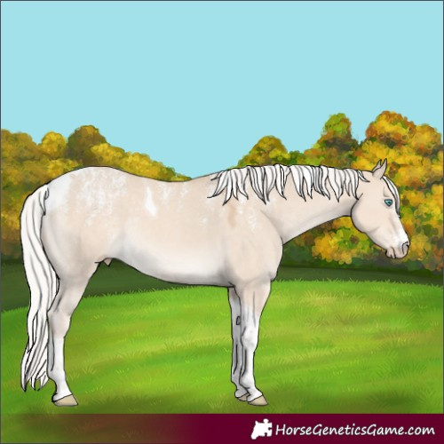 Horse Color:Powder White Silver Smoky Creme Dun Tobiano Rabicano 