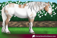 Horse Color:Gray White Spotted Chocolate Silver Smoky Black Pearl Frame