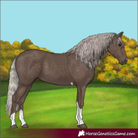 Horse Color:Silver Black Tobiano