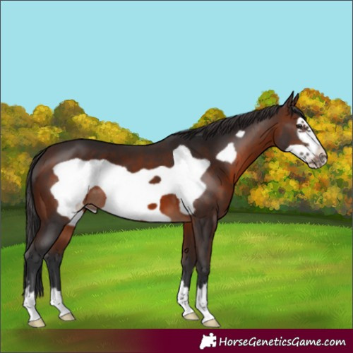 Horse Color:Brown Frame 