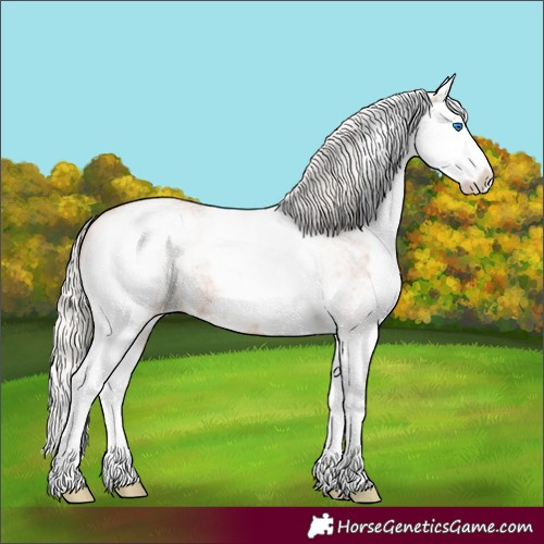 Horse Color:White Spotted Silver Bay Roan Splash 