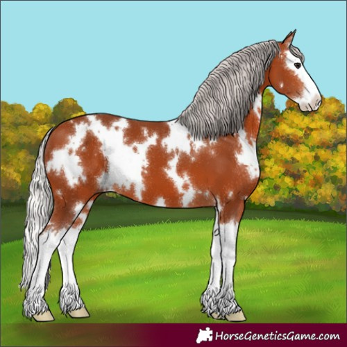 Horse Color:White Spotted Silver Bay Splash