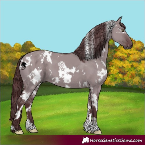 Horse Color:White Spotted Chocolate Grullo Chinchilla 