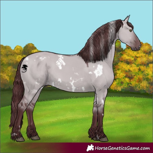 Horse Color:White Spotted Chocolate Grullo Chinchilla 