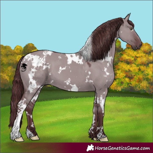 Horse Color:White Spotted Chocolate Grullo Chinchilla
