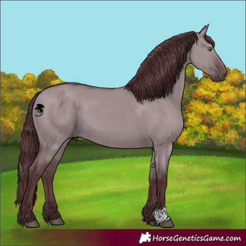 Horse Color:Chocolate Grullo Chinchilla 