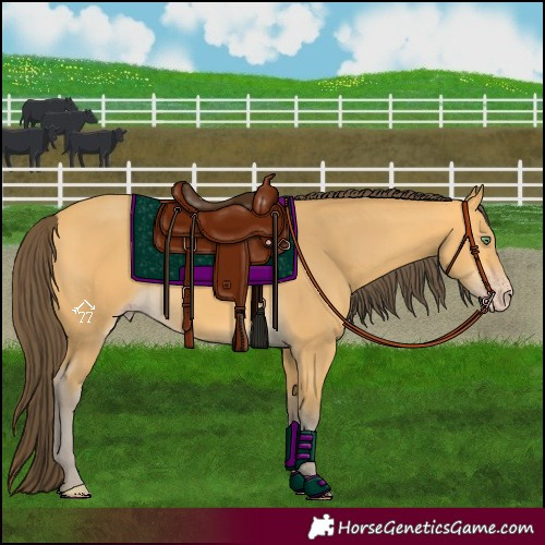 Horse Color:Amber Cream Champagne 