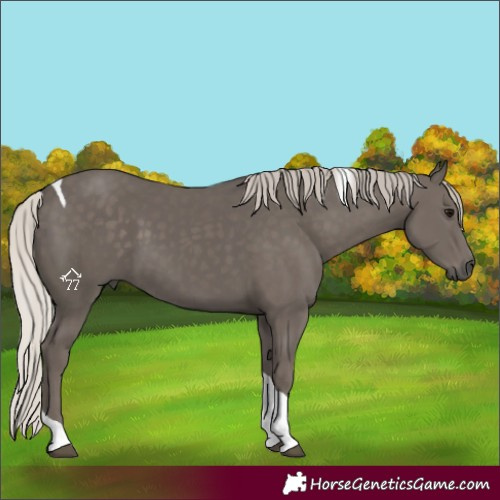 Horse Color:Silver Black Tobiano 