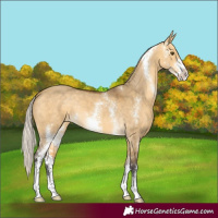 Horse Color:Silver Buckskin Dun Sabino 