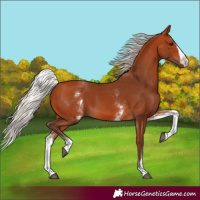 Horse Color:White Spotted Silver Bay Splash