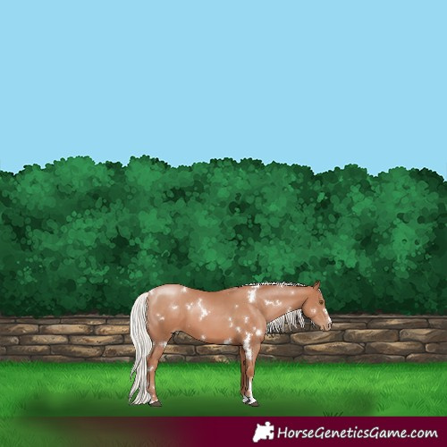 Horse Color:White Spotted Silver Black Pearl 
