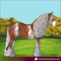 Horse Color:White Spotted Silver Brown Splash 