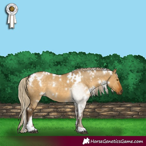 Horse Color:White Spotted Chocolate Palomino Dun 