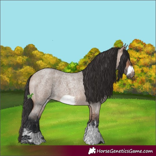 Horse Color:Bay Roan Dun Sabino Frame