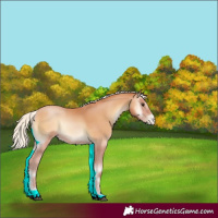 Horse Color:Silver Bay Pearl Onyx 