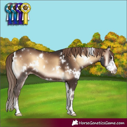Horse Color:White Spotted Liver Red Onyx Sabino 