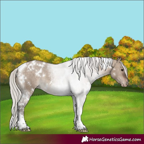 Horse Color:White Spotted Silver Brown Dun Tobiano Varnish 