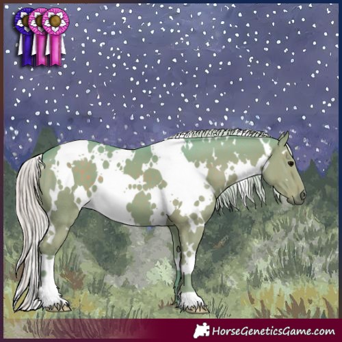 Horse Color:Watercolor White Spotted Silver Black 