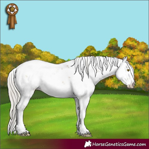 Horse Color:Silver Buckskin Dun Sabino 