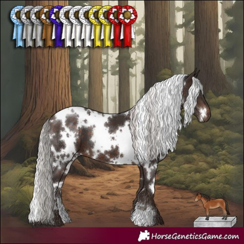 Horse Color:White Spotted Silver Brown 