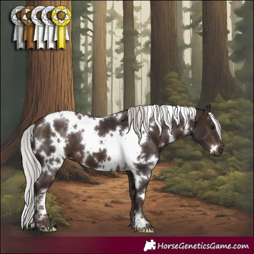 Horse Color:White Spotted Silver Brown 