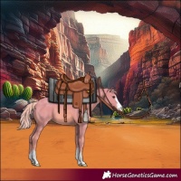 Horse Color:Watercolor Chestnut 