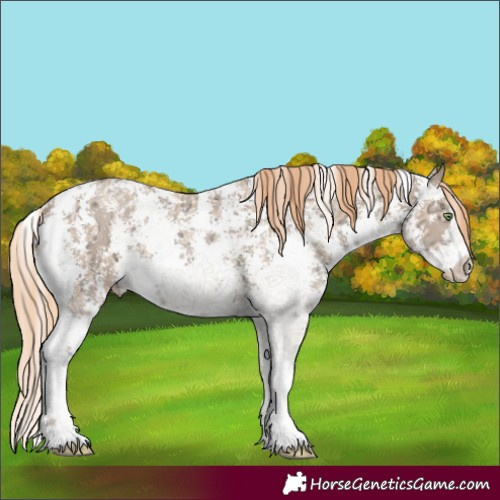 Horse Color:Gold Champagne Ice Sabino 