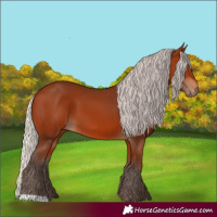 Horse Color:Silver Bay