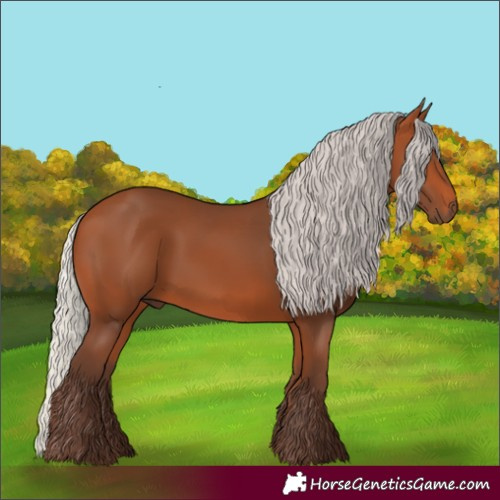 Horse Color:Silver Bay 